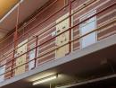 «Едиот Ахронот»: бывшая охранница в тюрьме «Гильбоа» рассказала о домогательствах со стороны заключенных террористов
