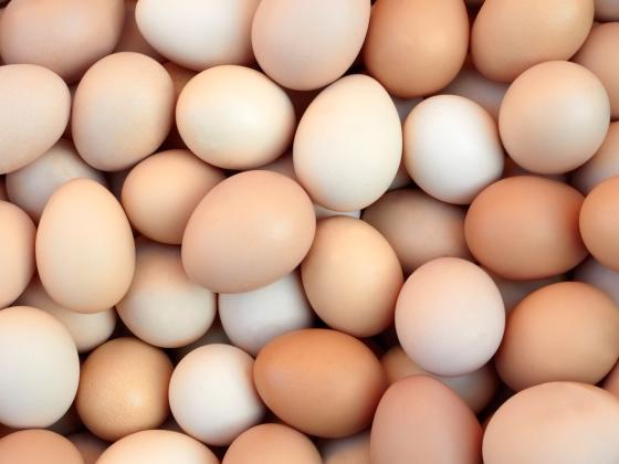 На рынке Махане Йегуда конфискованы 5.000 яиц с поддельными печатями ветконтроля