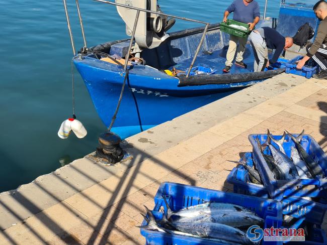 Владелец ашкелонского рыбного ресторана поймал голубого тунца весом 270 кг