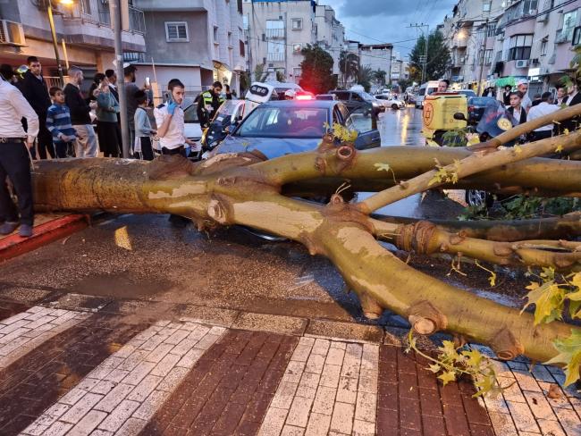 В Бней-Браке после ливня на автомобиль рухнуло дерево