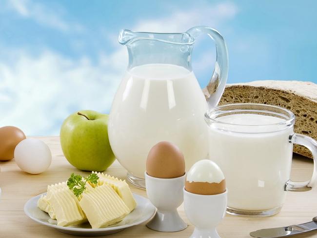 В Израиле впервые разрешен импорт «молока из пробирки»