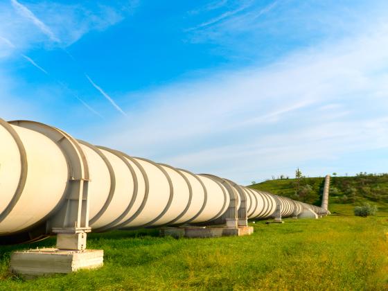 Минэкологии заблокировало реализацию сделки по перекачке нефти из ОАЭ через Израиль