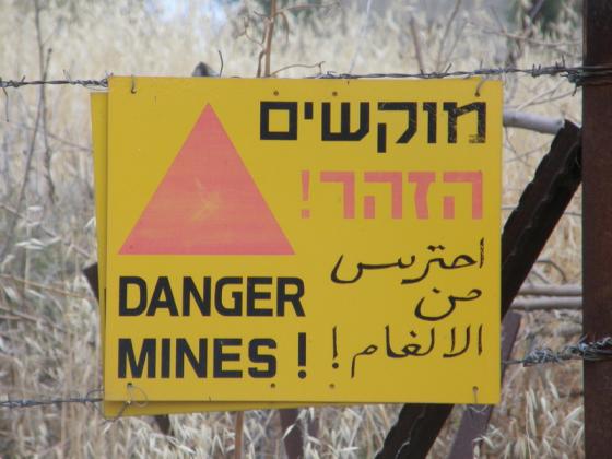 Пожар в Верхней Галилее: горит минное поле