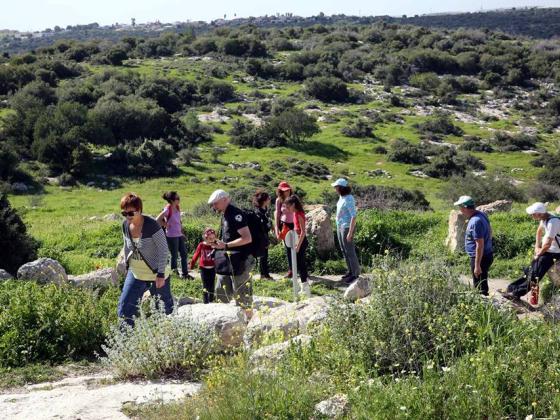 Более 700 тысяч жителей Израиля посетили леса и парки