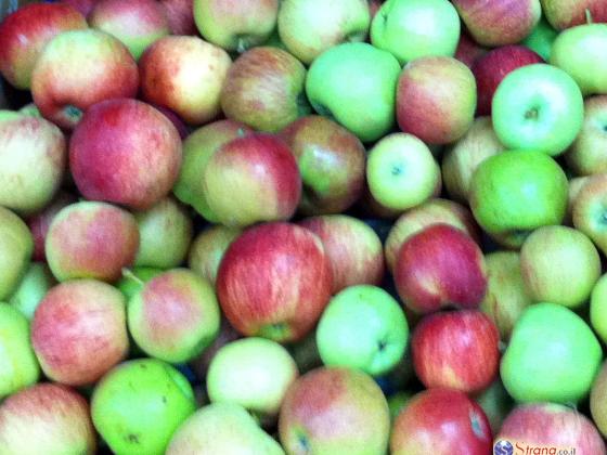 Начались традиционные поставки яблок из Израиля в Сирию