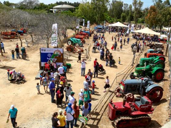 Фестиваль первого трактора в Израиле (ФОТО)