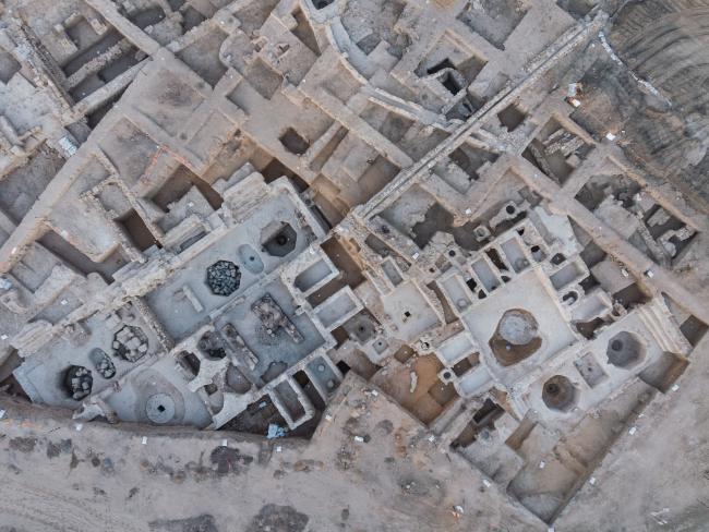 Археологическая сенсация: израильский Явне был крупнейшим в мире центром виноделия