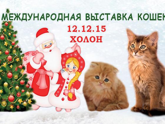 Праздничная новогодняя выставка-шоу кошек