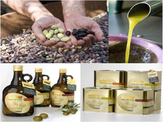 Энциклопедия оливкового масла: какой должна быть кислотность?