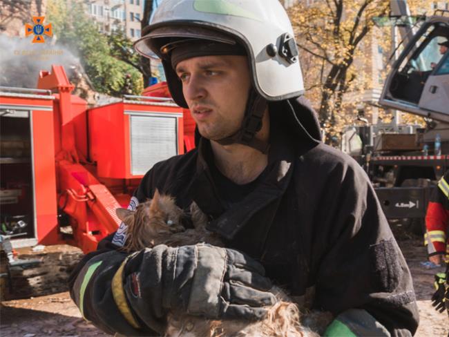 Выживший после атаки дронов в Киеве кот Филя стал героем соцсетей