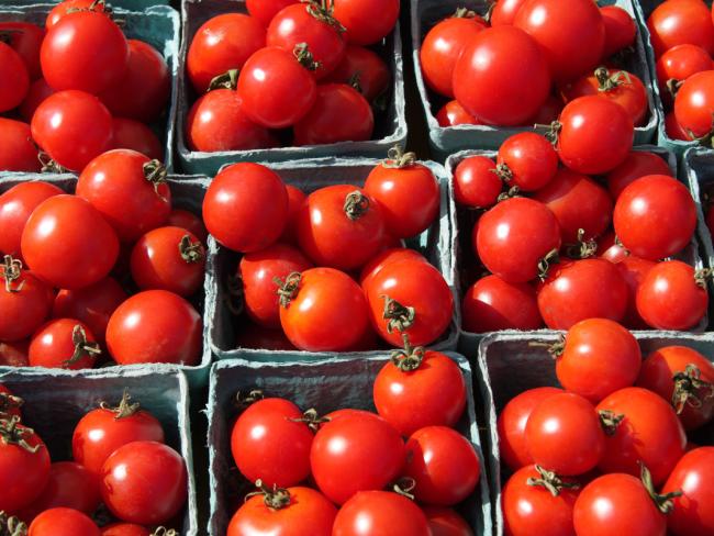 Невыгодно продавать: израильский фермер бесплатно раздал людям весь урожай помидоров