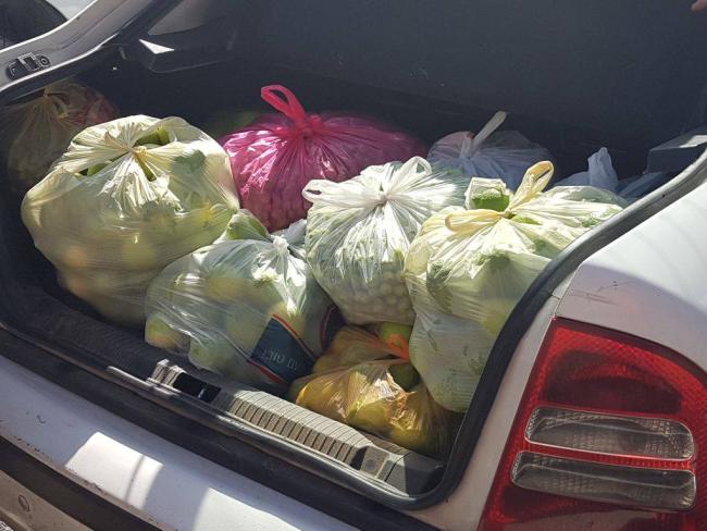 Арабские рабочие украли сотни килограммов овощей, чтобы продать их под Хевроном