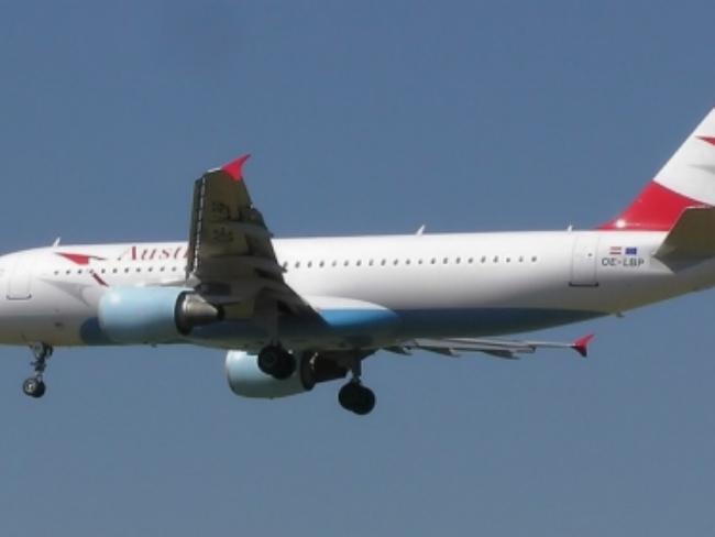 Направлявшийся в США самолет Austrian Airlines экстренно сел в Канаде из-за израильского дебошира