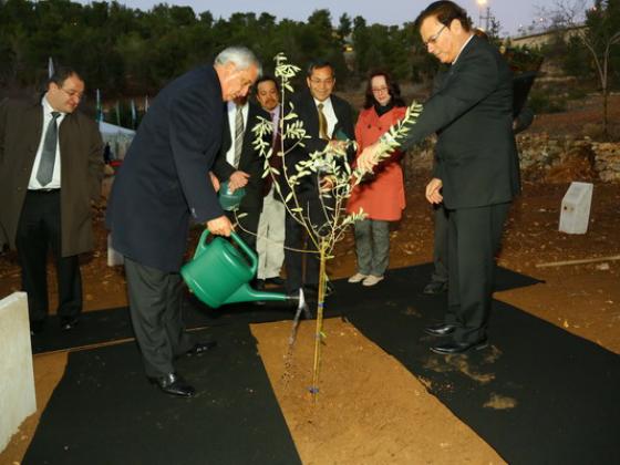 Первый в истории визит в Израиль президента Гватемалы начался с посадки дерева в Лесу Наций.