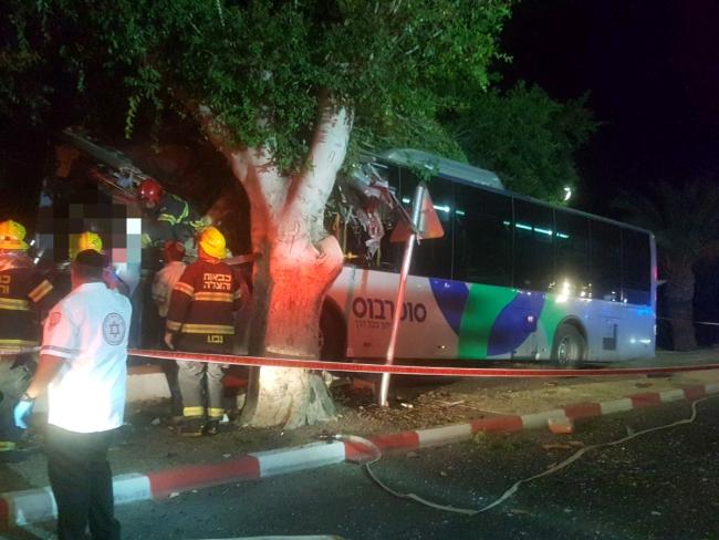 В Тверии автобус врезался в дерево: пострадали четыре человека