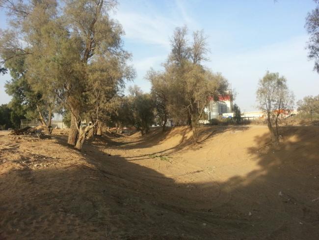 Восстановление ручья Нахаль-Ватиким в Офакиме