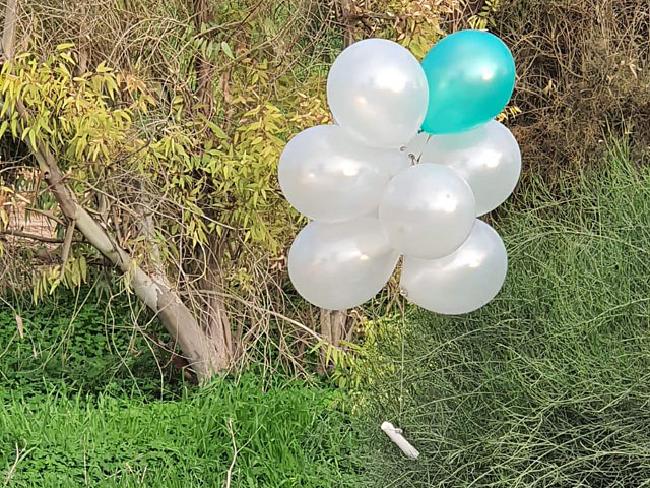 Воздушный шар со взрывчаткой упал возле детского сада в Сааде