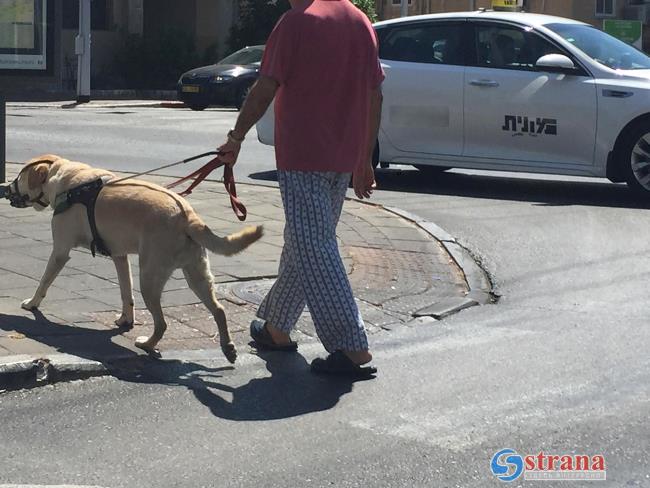 Таксист оштрафован на 13 тысяч шекелей за отказ везти слепого пассажира с собакой-поводырем