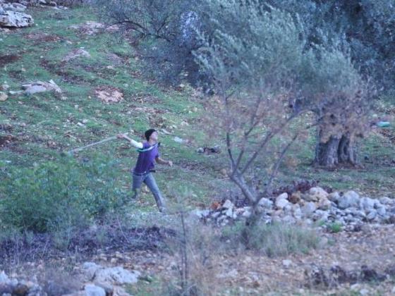 Израильский автомобиль забросали камнями в Самарии