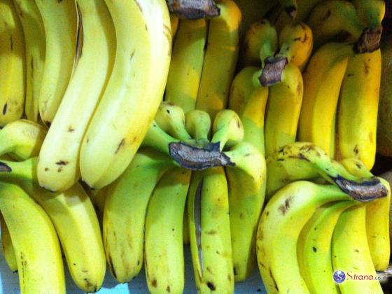 Чиновник обнаружил паука-убийцу в связке бананов из супермаркета