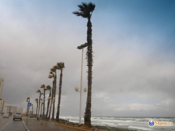 Израильтян на этой неделе ожидают дожди и сильный ветер