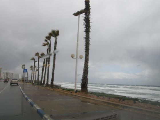 Ураган в Израиле:тысячи израильтян без электричества