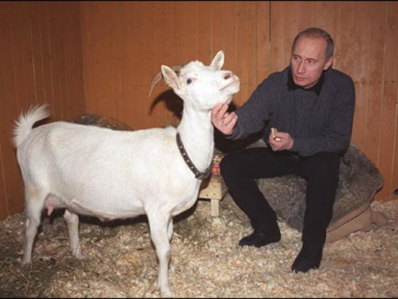 Путин поет и играет на рояле (ВИДЕО)