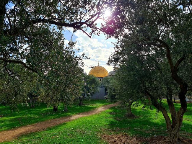 Туристы из ОАЭ в Израиле: «Мы увидели, в каком согласии живут мусульмане, христиане и евреи»