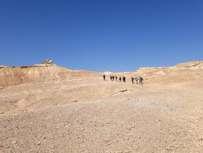 Израиль объявил глобальный конкурс стартапов по борьбе с опустыниванием