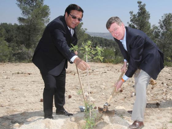 Губернатор  Колорадо посадил дерево в Иерусалимских горах