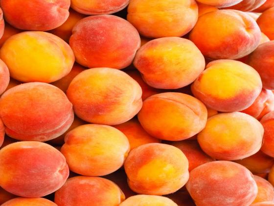 Двое арабов попались на краже 200 килограммов персиков