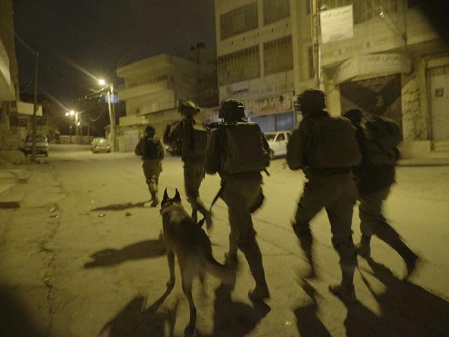 Масштабные операции в Иудее и Самарии, за двое суток задержаны десятки активистов ХАМАС