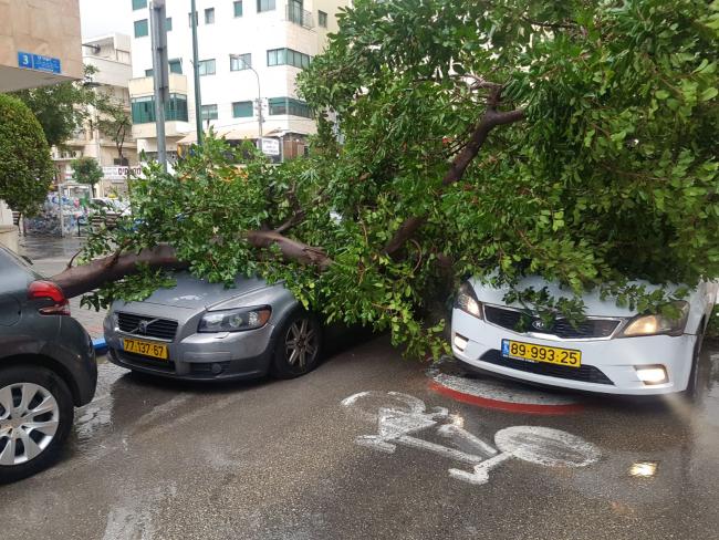 Буря валит деревья и блокирует улицы в Гуш-Дане