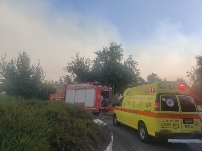 Пожарные из ПА помогут израильтянам тушить лесные пожары в Иерусалимских горах
