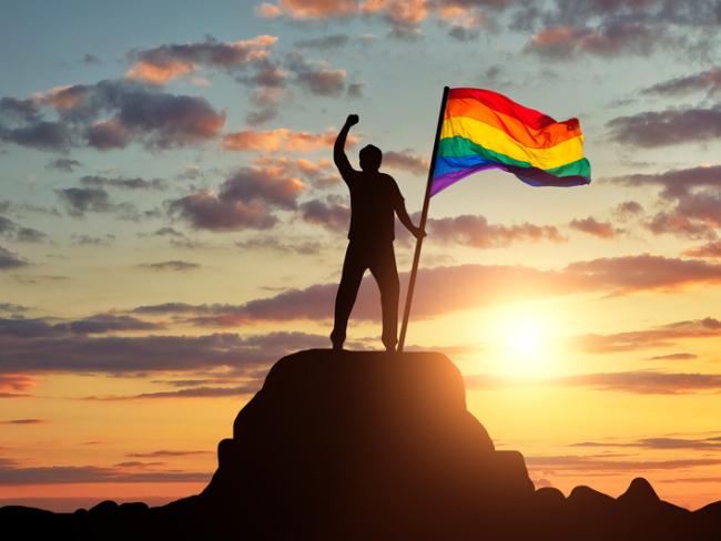 Суд приговорил к 15 годам тюрьмы мужчину, сжегшего флаг ЛГБТ