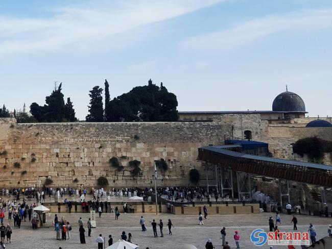Эпидемия коронавируса: у Стены Плача в Иерусалиме состоялась массовая молитва