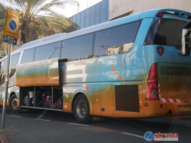 Министерства транспорта и туризма намерены переобучить гидов в водителей автобусов