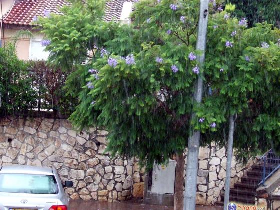 Дожди и грозы вернулись в Израиль