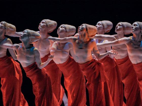 «Shen Wei Dance Arts» – танцевальное искусство 
