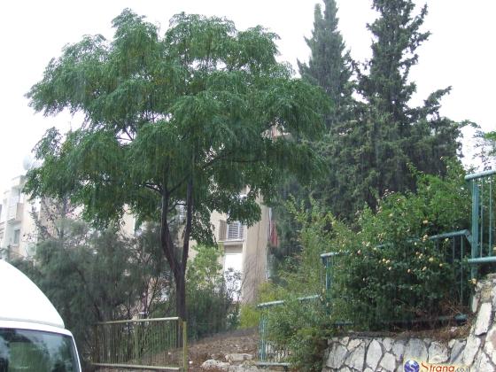 В Израиль возвращается зима - ливневые дожди, град, снег на Хермоне
