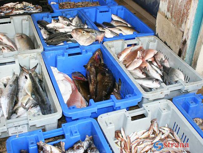 Арестована продукция импортера рыбы «Дагей Мехадрин» для дальнейшего уничтожения