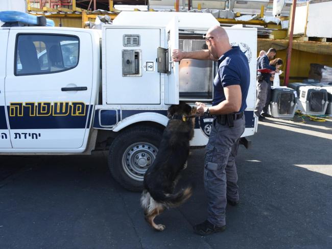 «Мас ахнаса» разыскивает деньги неплательщиков при помощи дрессированных собак