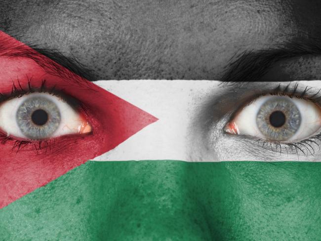 Глава МИД Иордании:  «В рамках всеобъемлющего соглашения Израиль будет должен уйти с Голан»