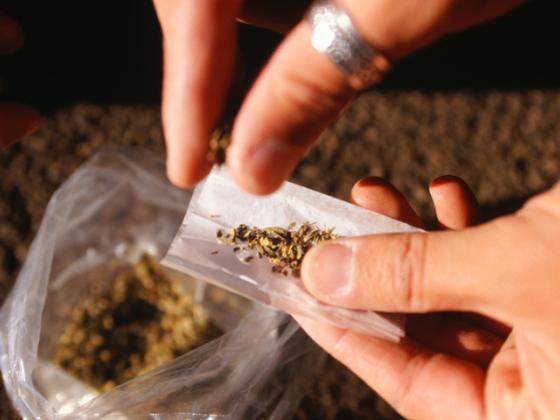 Легализация легких наркотиков причинит вред