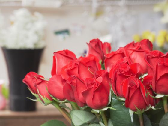 Впервые: Израиль импортирует розы к дню Св. Валентина