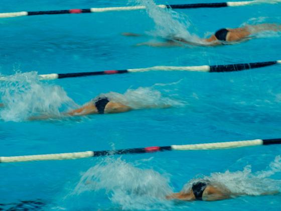 Первенство мира по плаванию: у Израиля 5 золотых медалей