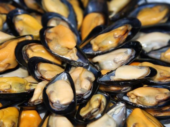 Моллюсков из Тихого океана опасно упортреблять в пищу