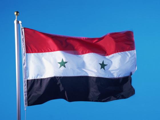 Валид Муаллем в ООН: «В Сирии нет никакой гражданской войны»