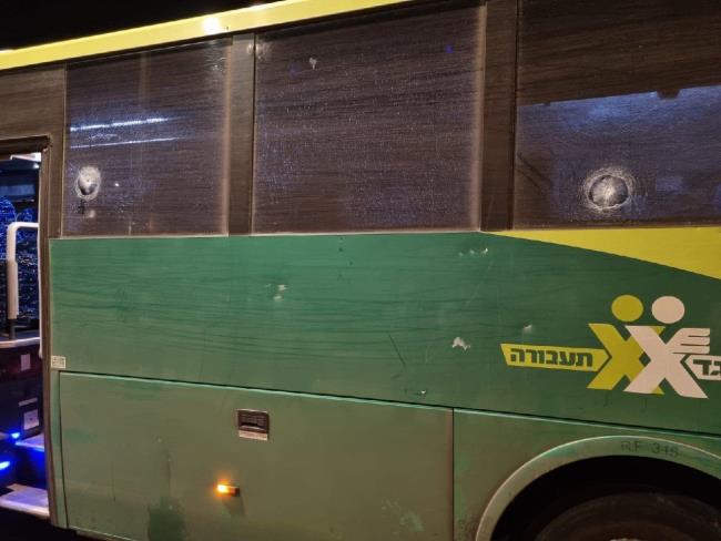 Террористы обстреляли автобус компании «Эгед» в Самарии