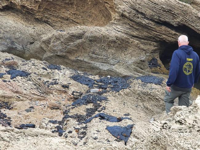 Правительство Израиля одобрило выделение 45 млн шекелей на борьбу нефтяным загрязнением пляжей